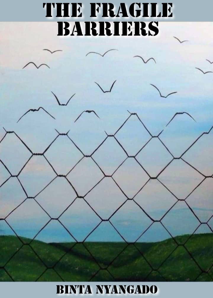 Cover of The Fragile Barriers